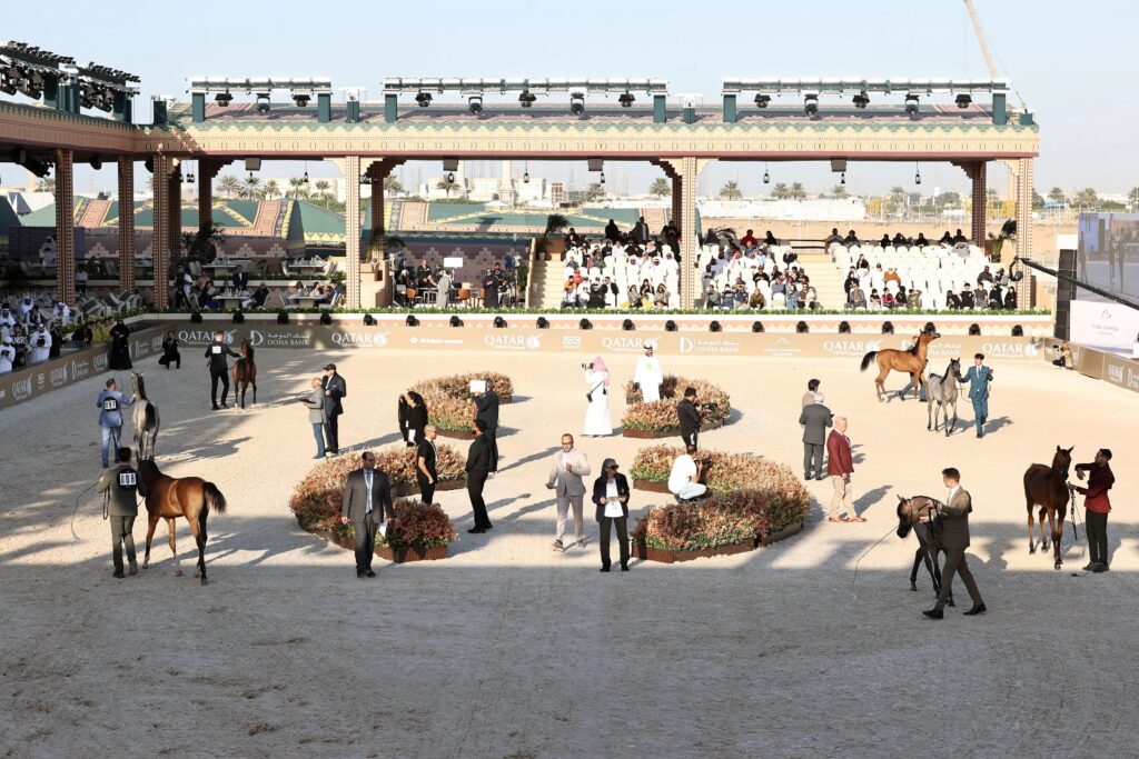 Global Champions Arabians Tour é um circuito internacional de renome